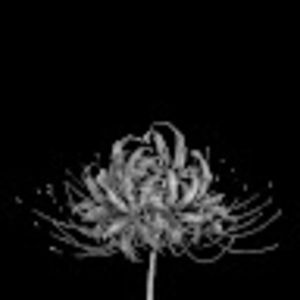 Meet your Posher, Annabelle